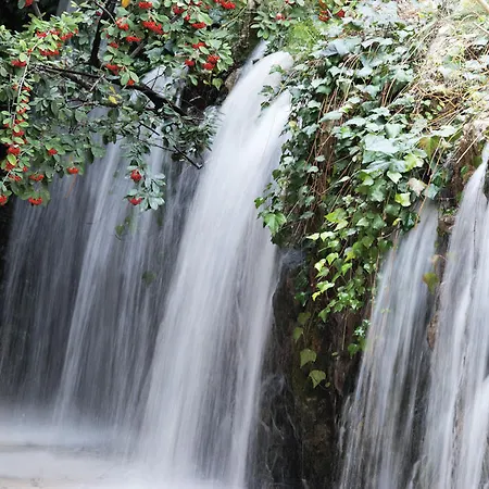 فندق مبيت وإفطار Il Portico Luxury 4*